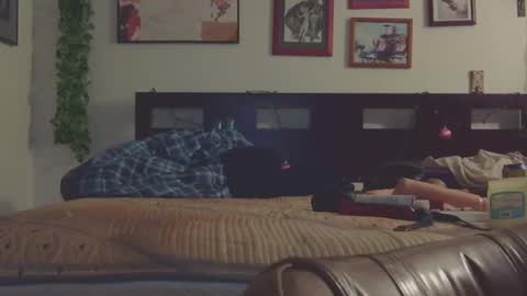 Trina Tushy Deluxe online show from 9, 3, 2025