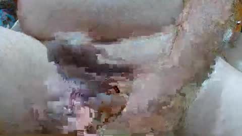 troy1965 online show from 23, 2, 2026