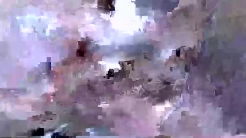 troy1965 online show from 12, 4, 2026