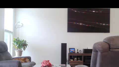 Snapshot of truckdoc26 chatting on 11, 10, 2025 truckdoc26 online show from 11, 10, 2025