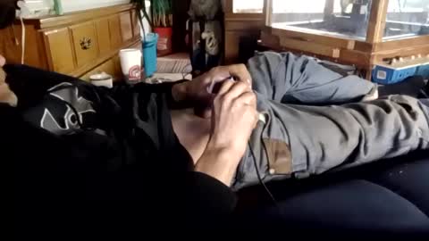 trypodman online show from 17, 12, 2024