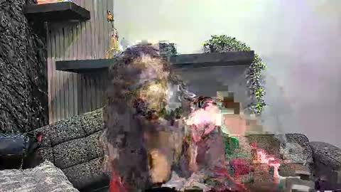 Lexi Longg online show from 3, 3, 2026