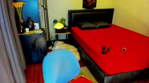 Kylee-  will make your  day  online show from 13, 5, 2026