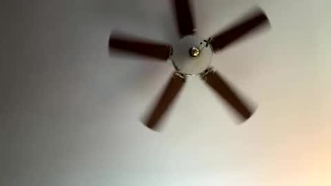 twerkandjerkk online show from 16, 4, 2026