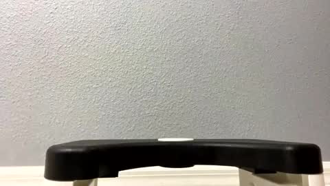 twetcock online show from 6, 2, 2025