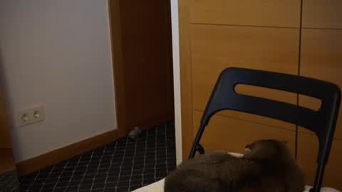 Snapshot of twinksweetlovehot chatting on 5, 12, 2024 twinksweetlovehot online show from 5, 12, 2024