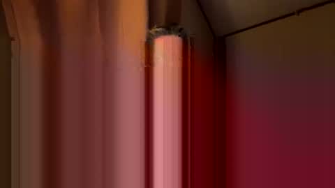 twosmallholes42 online show from 1, 3, 2026