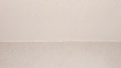 Tyler online show from 29, 3, 2026