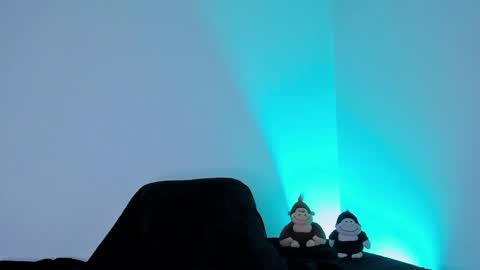 Tyler online show from 12, 2, 2026