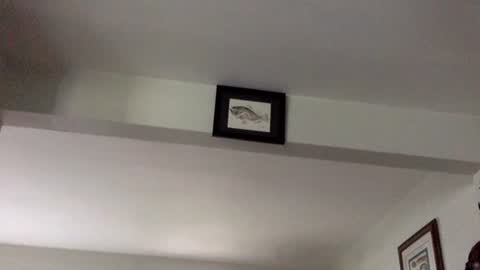 Snapshot of tylerdurden256 chatting on 8, 2, 2025 Tyler Durden online show from 8, 2, 2025