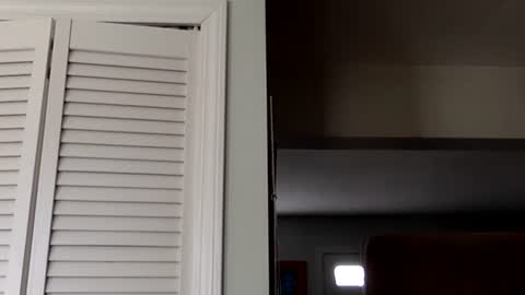 Snapshot of tylerdurden256 chatting on 2, 3, 2025 Tyler Durden online show from 2, 3, 2025