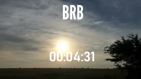 Snapshot of ulmo_br chatting on 15, 12, 2024 ulmo_br online show from 15, 12, 2024