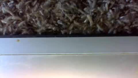 tele kuzhbuzh online show from 24, 1, 2025