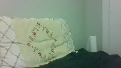 Snapshot of understanding_man chatting on 13, 4, 2026 understanding_man online show from 13, 4, 2026