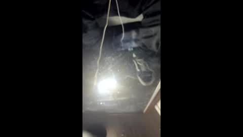 Astic BW online show from 3, 3, 2026