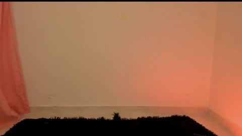 new INSTA   online show from 29, 12, 2024