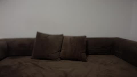 Snapshot of unverifiedbwc chatting on 31, 1, 2026 Stepbro online show from 31, 1, 2026