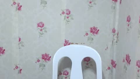 Snapshot of ur_akiradesu chatting on 2, 12, 2024 akira online show from 2, 12, 2024