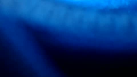 Snapshot of urasian_pinayjessaxxx chatting on 8, 7, 2026 urasian_pinayjessaxxx online show from 8, 7, 2026