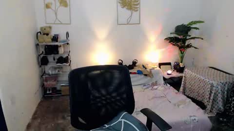 Bib online show from 1, 11, 2025