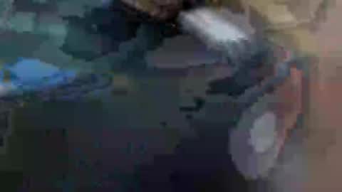 Snapshot of ursexybutt chatting on 29, 1, 2025 fiona online show from 29, 1, 2025