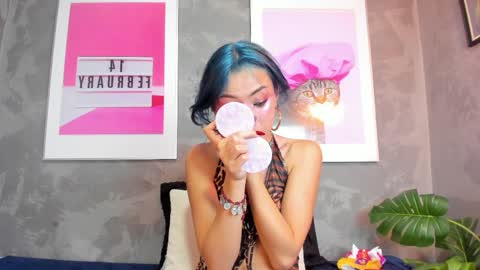 vamp  online show from 31, 3, 2026