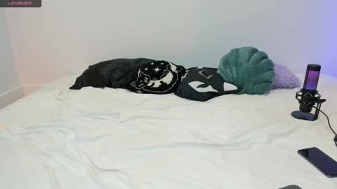 Snapshot of vamppire_girl chatting on 21, 11, 2025 Vamppire Girl online show from 21, 11, 2025