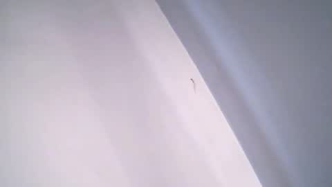 vanessaanythinggoes online show from 10, 4, 2026