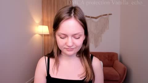Snapshot of vanilla_echo_ chatting on 2, 4, 2026 vanilla_echo_ online show from 2, 4, 2026
