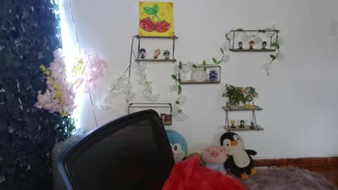 vane online show from 11, 4, 2026