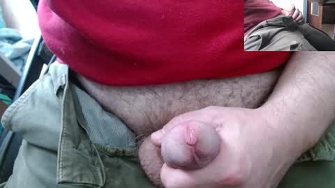 vegeta_ssj online show from 10, 3, 2026