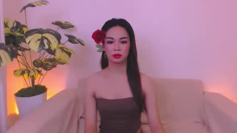 Velvet online show from 30, 5, 2026