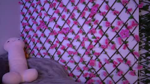 Polly online show from 7, 11, 2025