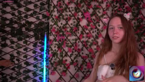 Polly online show from 27, 11, 2025