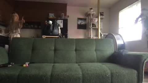 Snapshot of venustheflytrap chatting on 22, 5, 2026 venustheflytrap online show from 22, 5, 2026