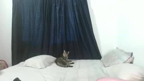 Snapshot of veronicagracia2531 chatting on 17, 11, 2025 veronicagracia2531 online show from 17, 11, 2025