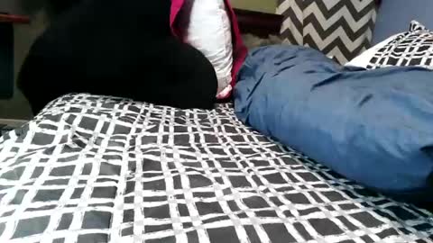 Vexnew online show from 21, 2, 2026