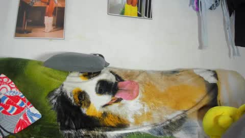 vicky manuela online show from 18, 2, 2025