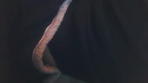 vicvictoree online show from 14, 12, 2025