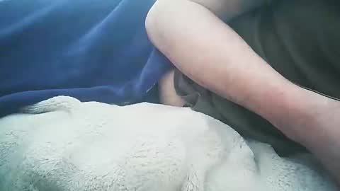 vicvictoree online show from 12, 2, 2026