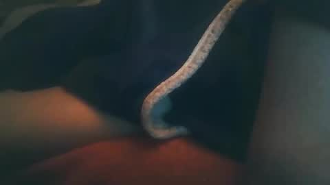 vicvictoree online show from 22, 2, 2026