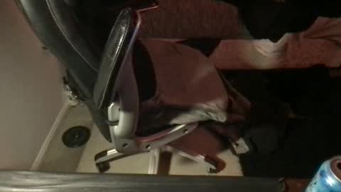 Viewsofpleasures online show from 16, 2, 2025