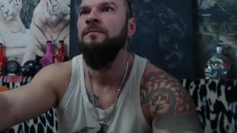 viking online show from 25, 12, 2024
