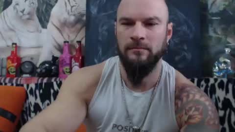 viking online show from 28, 12, 2024