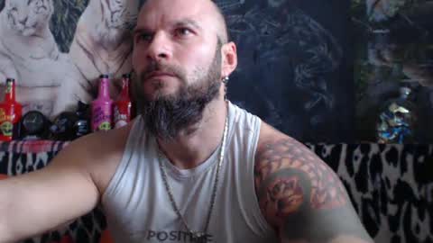 viking online show from 31, 12, 2024