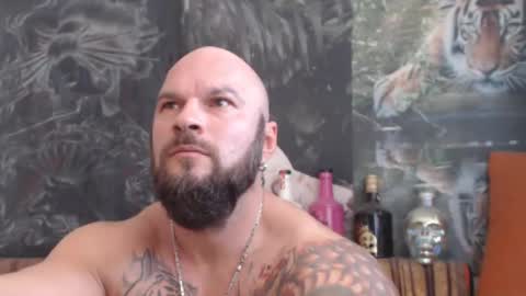 viking online show from 2, 11, 2025