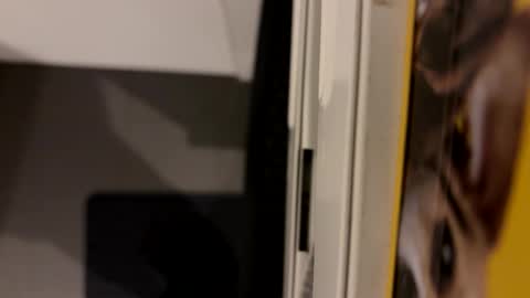 Snapshot of vm93m chatting on 6, 12, 2024 John online show from 6, 12, 2024