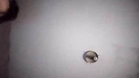 vujadetr online show from 20, 9, 2025