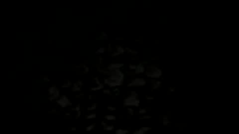 w2456 online show from 25, 11, 2025