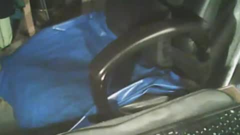 waaaooow online show from 11, 11, 2025